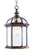 Trans Globe Wentworth 1 Light HANGING LANTERN BEVELED GL in Black Finish Model: 4183 BK