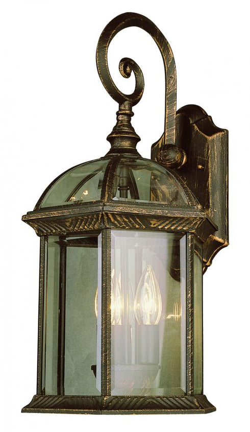 Trans Globe Wentworth Atrium Style Armed Outdoor Wall Model: 44181 WH
