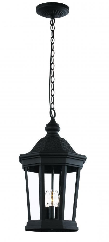 Trans Globe Westfield Hexagon Shaped Clear Glass Outdoor Model: 40406 BK