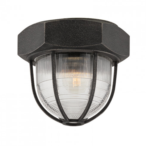 Troy Acme 1 Light Ceiling Flush Model: C3891-APW