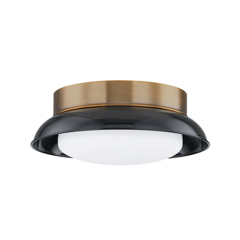 Troy ARNIE Flush Mount Model: C2014-PBR/GBK