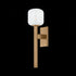 Troy Axton Wall Sconce in Patina Brass Finish Model: B2119-PBR