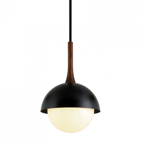 Troy Cadet 1 Light Pendant Model: F7644-SBK