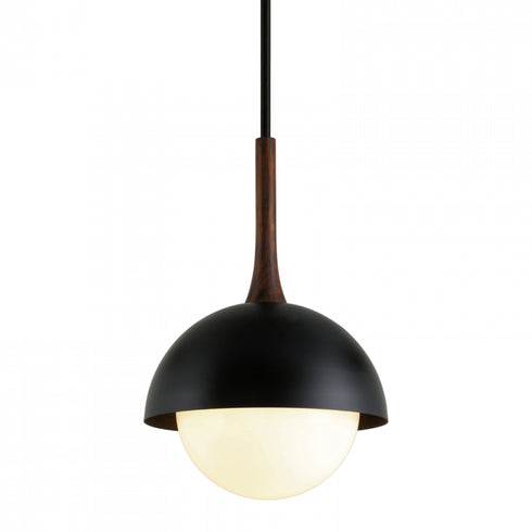 Troy Cadet 1 Light Pendant Model: F7645-SBK