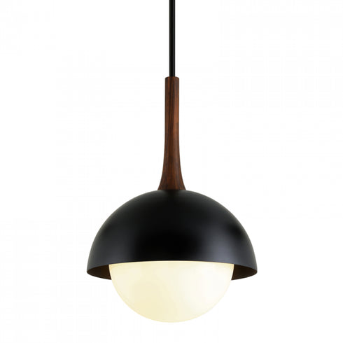 Troy Cadet 1 Light Pendant Model: F7646-SBK