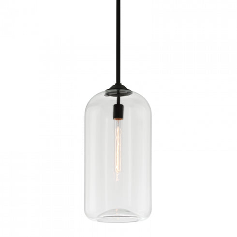 Troy District 1 Light Pendant Large Model: F5562-SBK