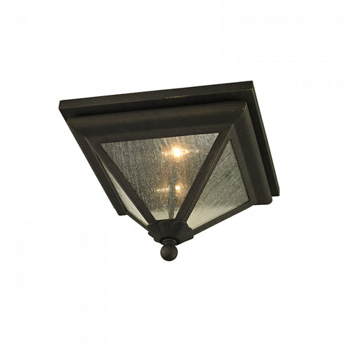 Troy Geneva 2 Light Flush Model: C6470-VBZ
