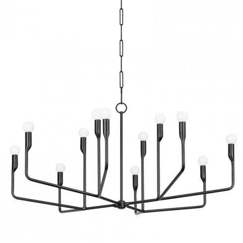 Troy Norman 12 Light Chandelier Model: F9242-FOR