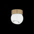 Troy Odin Flush Mount in Patina Brass/Soft Black Finish Model: C1406-PBR/SBK