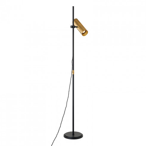 Troy Quinn 1 Light Floor Lamp Model: PFL9665-PBR/SBK