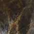 Troy Vishal Chandelier in Black Patina Gold Finish Model: F2339-BPG