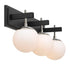 Varaluz Allie 3 Light Bath Blac Polished Nickel Model: 352B03BLPN