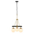Varaluz Allie 3 Light Chandelier Blac Satin Brass Model: 352C03BLSB