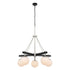 Varaluz Allie 5 Light Chandelier Blac Polished Model: 352C05BLPN