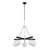 Varaluz Allie 5 Light Chandelier Blac Polished Model: 352C05BLPN