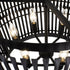 Varaluz Apollo 6 Light Pendant Carbon Model: 355P06SCB