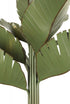 Varaluz Banana Leaf 12 Light Chandelier Banana Leaf Model: 901C12