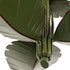 Varaluz Banana Leaf 3 Light Semi Flush Banana Leaf Model: 901S03