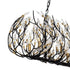 Varaluz Bask 8 Light Crystal Linear Pendant Matte Model: 271N08MBFG