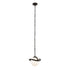 Varaluz Black Betty 1 Light Mini Pendant Carbo Model: 374M01CBFG