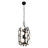 Varaluz Black Betty 12 Light Pendant Carbo French Model: 374P12CBFG