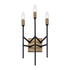 Varaluz Bodie 3 Light Ada Sconce Havana Gol Carbon Model: 314W03HGCB