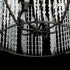 Varaluz Caesar 8 Light Pendant Carbon Model: 367P08CB