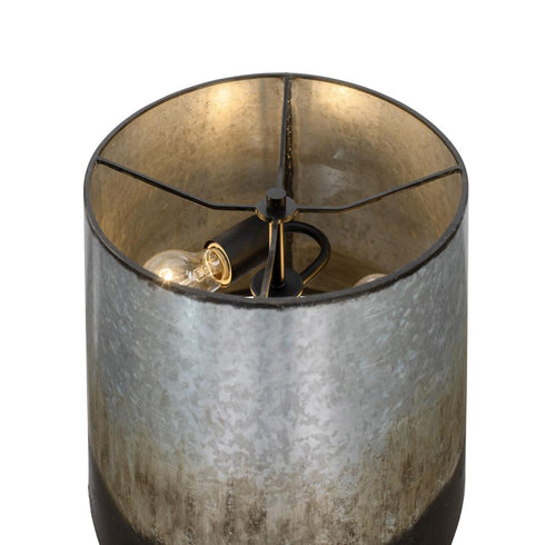 Varaluz Cannery 2 Light Buffet Table Lamp Ombre Model: 323T02BOG