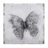 Varaluz Casa Flutter Black and White Mixed Media Wall Art Model: 4DWA0116