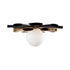 Varaluz Daphne 1 Light Convertible Flush Moun Sconce Model: 372S01LMBFG