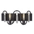 Varaluz Darden 2 Light Bath Matte Blac Painted Model: 354B02MBCH
