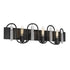 Varaluz Darden 3 Light Bath Matte Blac Painted Model: 354B03MBCH