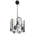 Varaluz Darden 6 Light Pendant Matte Blac Painted Model: 354P06MBCH
