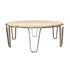 Varaluz Devereaux Coffee Table in Chablis Silver Model: 525TC41A