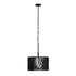 Varaluz Estela 3 Light Convertible Pendan Semi Flush Model: 380P03MBFG