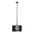 Varaluz Estela 3 Light Convertible Pendan Semi Flush Model: 380P03MBFG