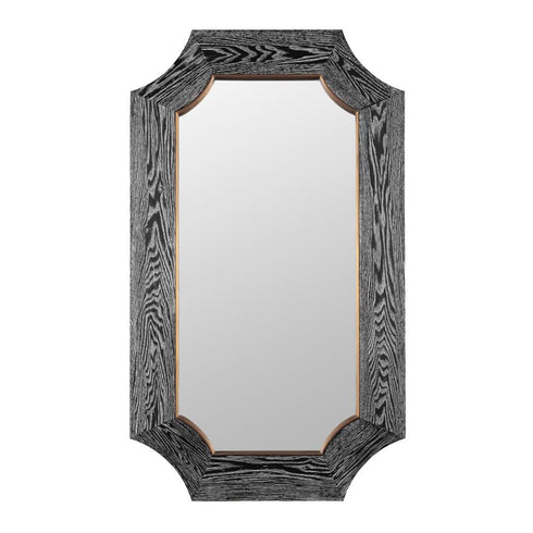 Varaluz Farra 26x44 Wall Mirror Cerused Blac Weathered Brass in Cerused Black/Weathered Brass Finish Model: 449MI26A