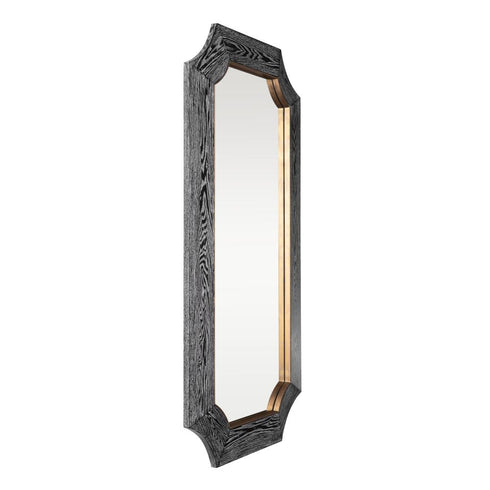 Varaluz Farra 28x54 Wall Mirror Cerused Blac Weathered Brass in Cerused Black/Weathered Brass Finish Model: 449MI28A