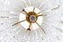 Varaluz Lafayette 7 Light Chandelier Havana Gold Model: 359C07HG