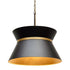 Varaluz Mad Hatter 4 Light Pendant Matte Blac Model: 390P04MBFG