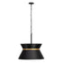 Varaluz Mad Hatter 4 Light Pendant Matte Blac Model: 390P04MBFG
