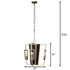 Varaluz Madeira 3 Light Chandelier in Rustic Gold Model: 294C03RG