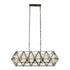 Varaluz Marcia 5 Light Linear Pendant Matte Blac Model: 353N05MBFG