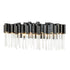 Varaluz Matrix 2 Light Bath Matte Blac French Gold Model: 309B02MBFG