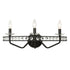Varaluz Monroe 3 Light Crystal Bath Carbon Model: 363B03CB