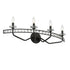 Varaluz Monroe 4 Light Crystal Bath Carbon Model: 363B04CB