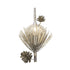 Varaluz Pinion 1 Light Sconce Zen Gold Model: 365W01ZG