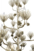 Varaluz Pinion 12 Light 3 Tier Chandelier Zen Gold Model: 365C12ZG