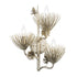 Varaluz Pinion 3 Light Sconce Zen Gold Model: 365W03ZG