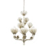 Varaluz Pinion 6 Light Chandelier Zen Gold Model: 365C06ZG